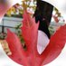 Acetylcholine (@acety_choline) Twitter profile photo Acetylcholine (@acety_choline) Twitter profile photo