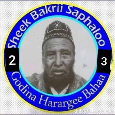 Sabdaneessummaa Cimsinee Itoophiyaa Badhaate Arguuf Kutannoon Qabsoofna