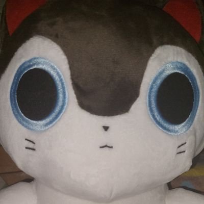 Sherman0314's profile picture. 日本語（勉強中）／中国語、中文、廣東話◎／英語、English ○
戌亥とこ最推しです~
オタクです~よろしくお願いします