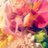 shibata_spcon's profile image