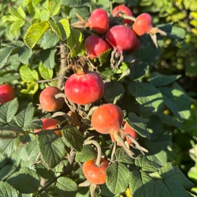 ASiAtiC07969614's profile picture. Graphics Lives Matter, 32y