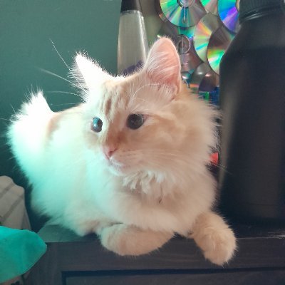 CastroDian2876's profile picture. She/Her Spanish/English 🇲🇽 +24
Chronically obsessed with fictional characters 
Sorry not sorry