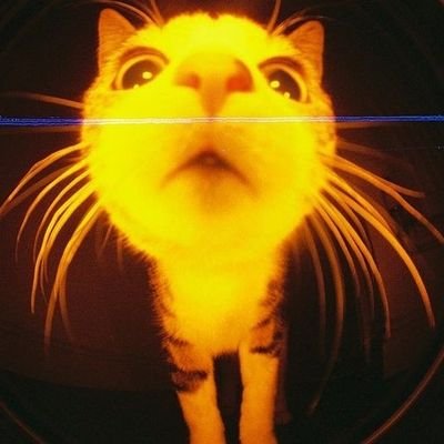 Hikari 光さんのプロフィール画像