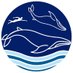 Ocean in our life (@oceaninour92243) Twitter profile photo Ocean in our life (@oceaninour92243) Twitter profile photo