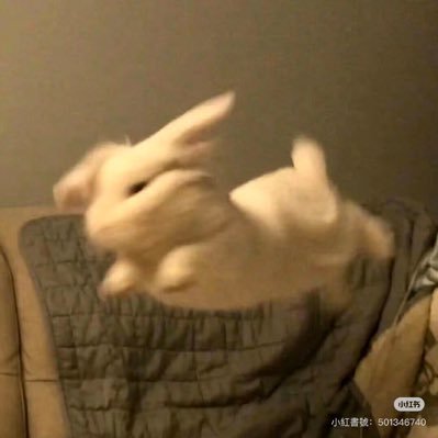 lynn_sqe's profile picture. 希望我們都順利