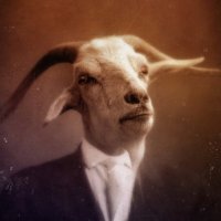 lc66 (@lcsixtysix) 's Twitter Profile Photo lc66 (@lcsixtysix) 's Twitter Profile Photo