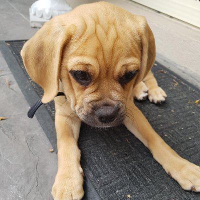 HuntrR6S's profile picture. Man