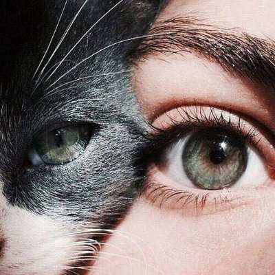 Glamour is my second language.
✩₊˚.⋆☾⋆⁺₊✧⋆⭒˚。⋆⁺˚⋆。°✩₊♡ ∩_∩
♡ ∩_∩
(„• ֊ •„)♡
┏━∪∪━━━┓
Believe in yourself
┗━━━━━━┛