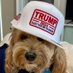 The Dood (@bobbycotton2024) Twitter profile photo The Dood (@bobbycotton2024) Twitter profile photo