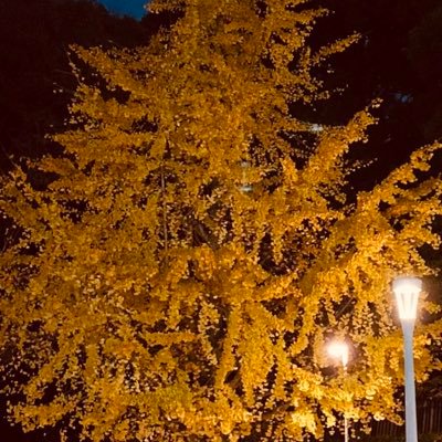 kyo_u04's profile picture. 04.oki🌺🍻 🏩💌←plz 大学生🚹 飲み友募趣味➡️🎞️🎧🎮⚽️