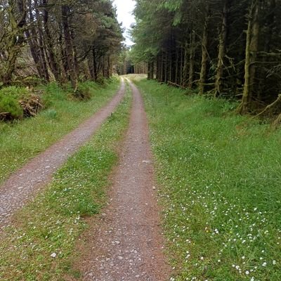 83fff965b14d47c's profile picture. 