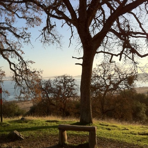 MarcosSaylor's profile picture. Having Fun and Learning Every Day