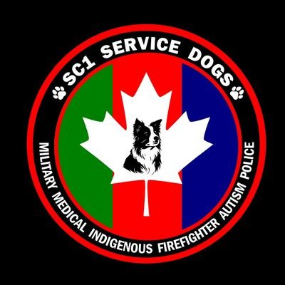 sc1servicedogs's profile picture. Always available to help train and build your next companion.