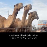 خالد تركي بن خراص🙋🏻♂️✨✨ (@kl_pp11) 's Twitter Profile