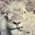can Yaman (@canyaman3813) Twitter profile photo can Yaman (@canyaman3813) Twitter profile photo