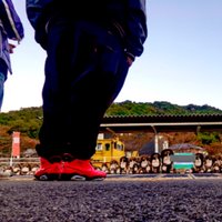 のり (@3takun3) 's Twitter Profile
