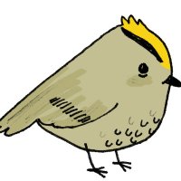 Tang Hall Goldcrests (@th_nursery2) 's Twitter Profile Photo Tang Hall Goldcrests (@th_nursery2) 's Twitter Profile Photo