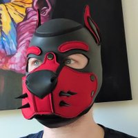 Pup Fluke 🐶🐾 (@pup_fluke) 's Twitter Profile Photo