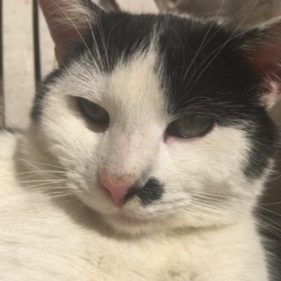 mastnapolivka's profile picture. crafts enjoyer and dust II hater https://t.co/PZDJMfhrfm
