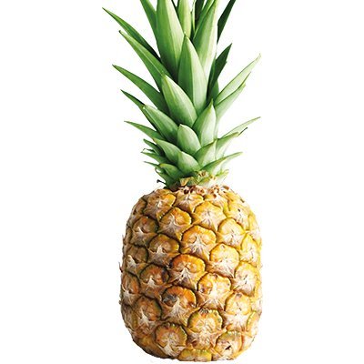 tr0p1cI's profile picture. 