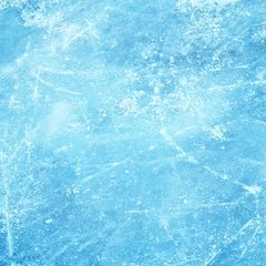 si9flowview's profile picture. 