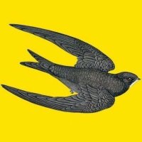 Ebabila Kusu (@kusu_ebabila_) 's Twitter Profile Photo Ebabila Kusu (@kusu_ebabila_) 's Twitter Profile Photo