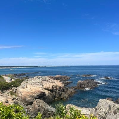 niamh_humphreys's profile picture. 