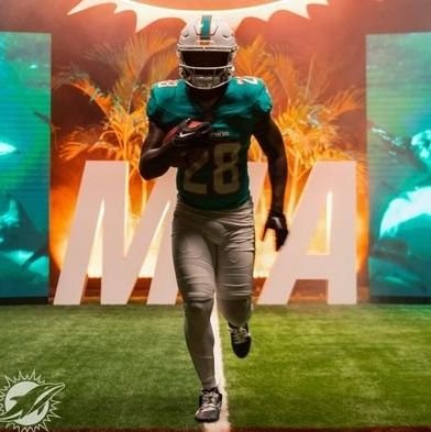 Dolphins fan🐬 Go FAU Owls🦉, Devon achane believer🔥⏩ #HEATCulture