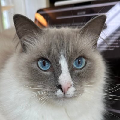 Codertb Profile