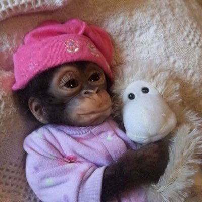 brolita666's profile picture. evil polycule united in anger