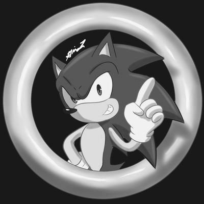 SonicLeaks 🌙さんのプロフィール画像