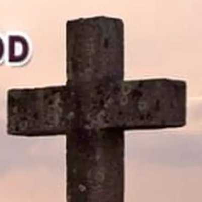 elect_rose's profile picture. I am married and born again believer in Jesus. MAGA Trump 2024 Retired Navy wife of a veteran