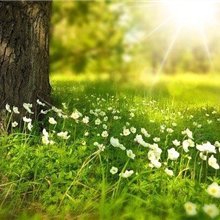 副業で安定した収入を得る方法を紹介中。副業を始めてみたい人に役立つ情報をお届け。多少ですが現金配布企画もしています♫ 詳細はコチラから▷ https://t.co/tHpsXUoT3S