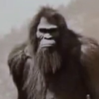 gbryant321's profile picture. 