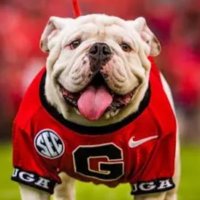 Vinny—SEC and then everyone else… (@vinnyelite11) 's Twitter Profile