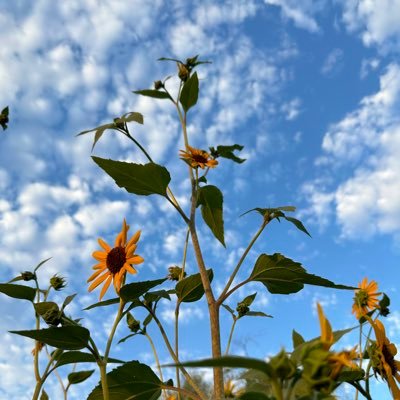 loverr_lv's profile picture. 