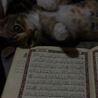 Danny ✨ (@daniaalown) 's Twitter Profile Photo