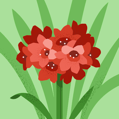 KKadarsufi59014's profile picture. 