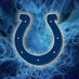 Did the Colts win (@didthecoltswin1) Twitter profile photo Did the Colts win (@didthecoltswin1) Twitter profile photo