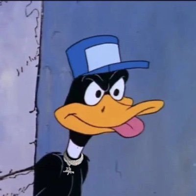 nolimitmaj6's profile picture. 