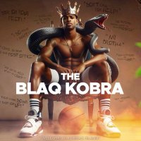 BlaqKobra π (@blaqkobra) 's Twitter Profile Photo BlaqKobra π (@blaqkobra) 's Twitter Profile Photo