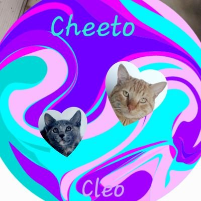 Lollllckool's profile picture. Hey we are Cheeto and Cleo we are bestfriends and we hope to make you smile(: