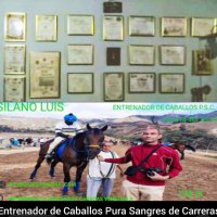 Luis Silano (@aprendeconls) 's Twitter Profile