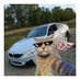 Artem (@arteeemfn) Twitter profile photo Artem (@arteeemfn) Twitter profile photo