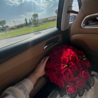 R๐ (@ranyashawkat1) 's Twitter Profile