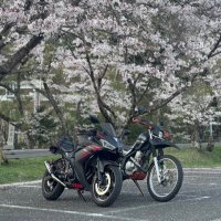 ToYoP (@toyop1o4op) 's Twitter Profile