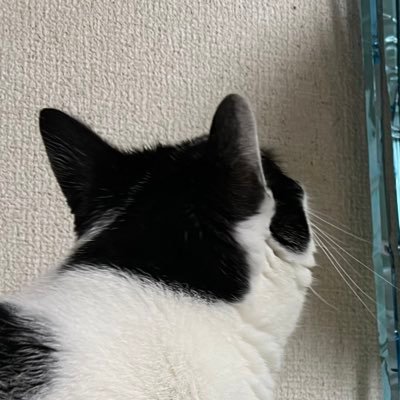 J0TFFpX3oWqOB7's profile picture. 