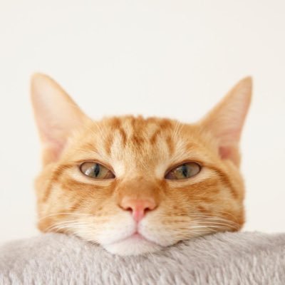 yuu135135's profile picture. またまた凍結しちゃいました 。会える方募集中です。 詳細はDMくださいね。 こちら男性です。