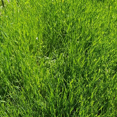 pondonpdch's profile picture. 気が向いたとき