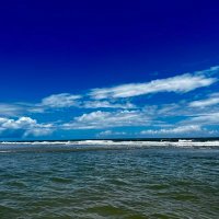 OakleyBlue (@oceandoglover) 's Twitter Profile